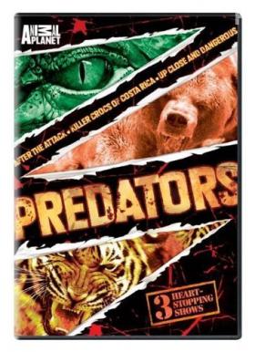 BBC:  , 2000 - 