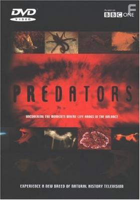 BBC:  , 2000 - 