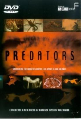 BBC:  , 2000 - 