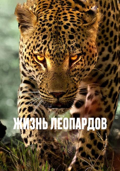  , 2024 - 