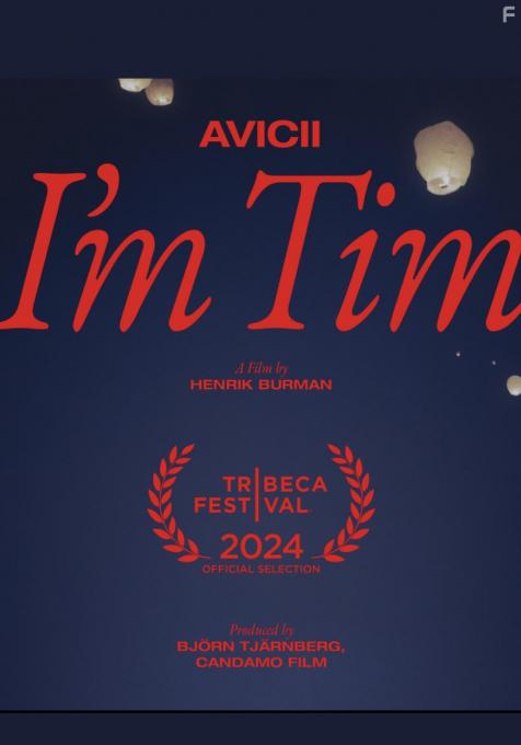 Avicii.   , 2024 - 